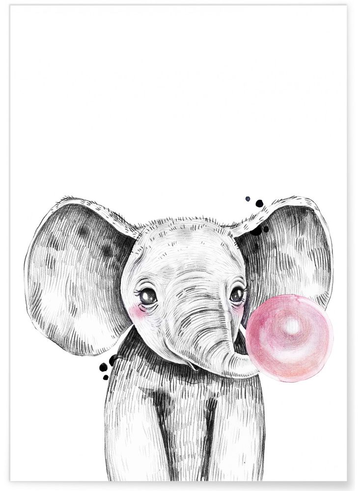 Affiches - AFFICHES BULLES ANIMAUX - L'AFFICHERIE