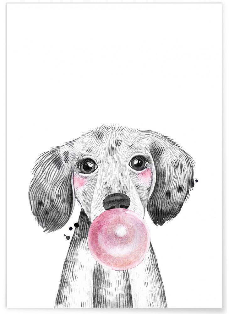 Affiches - AFFICHES BULLES ANIMAUX - L'AFFICHERIE