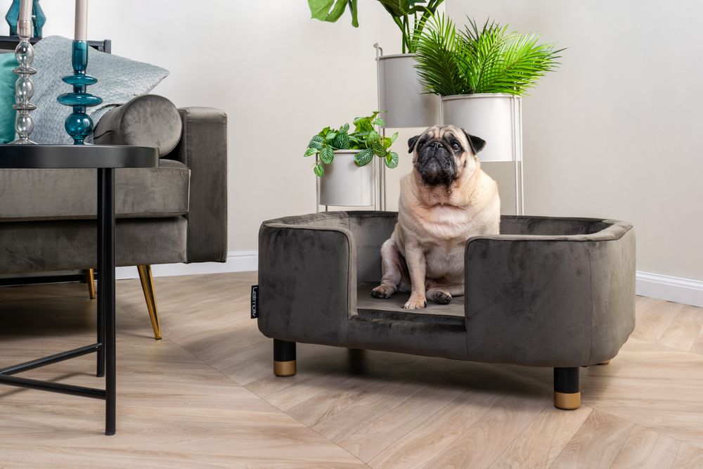 Footrests - Pet Sofa Royal - LEITMOTIV
