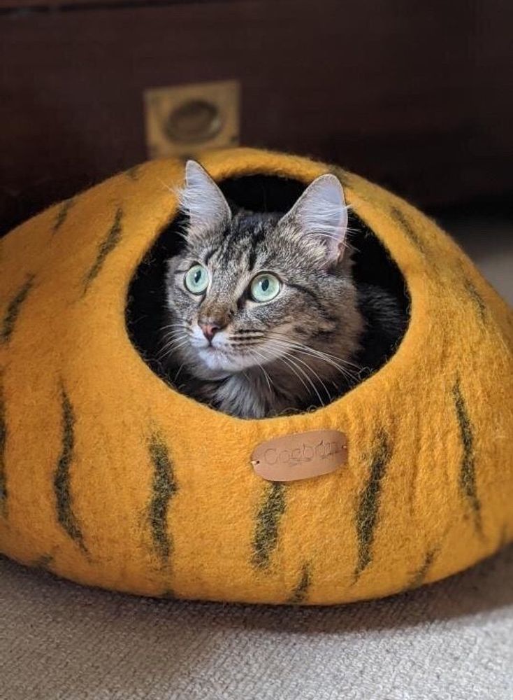 Accessoires animaux - Cocon pour chat, grotte pour chat , couchage pour chat , dodo pour chat , panier pour chat , igloo, niche pour chat , lit, cabane, maison pour chat - COCOON PARIS