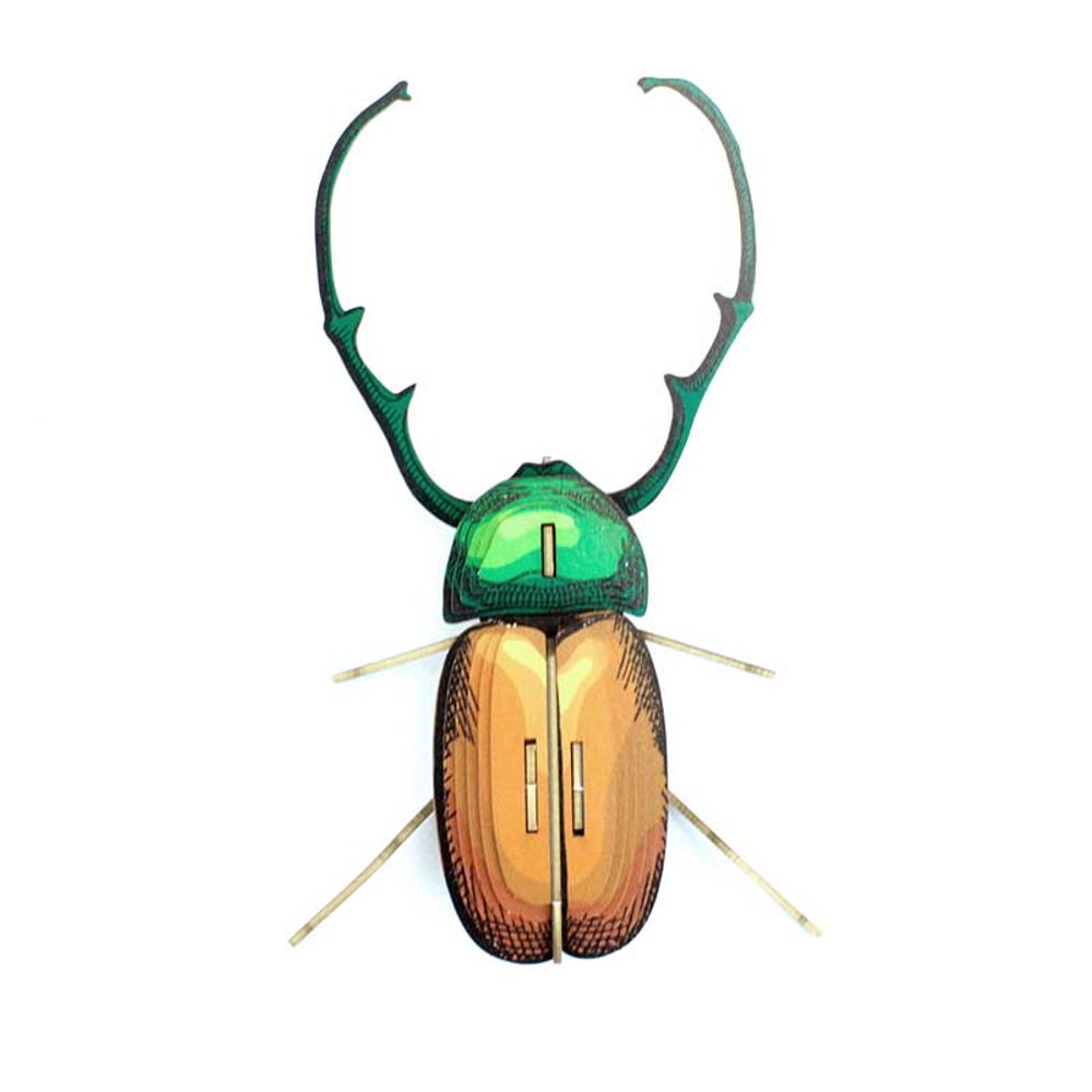 Objets de décoration - Objets de décoration - Insectes en carton - AGENT PAPER