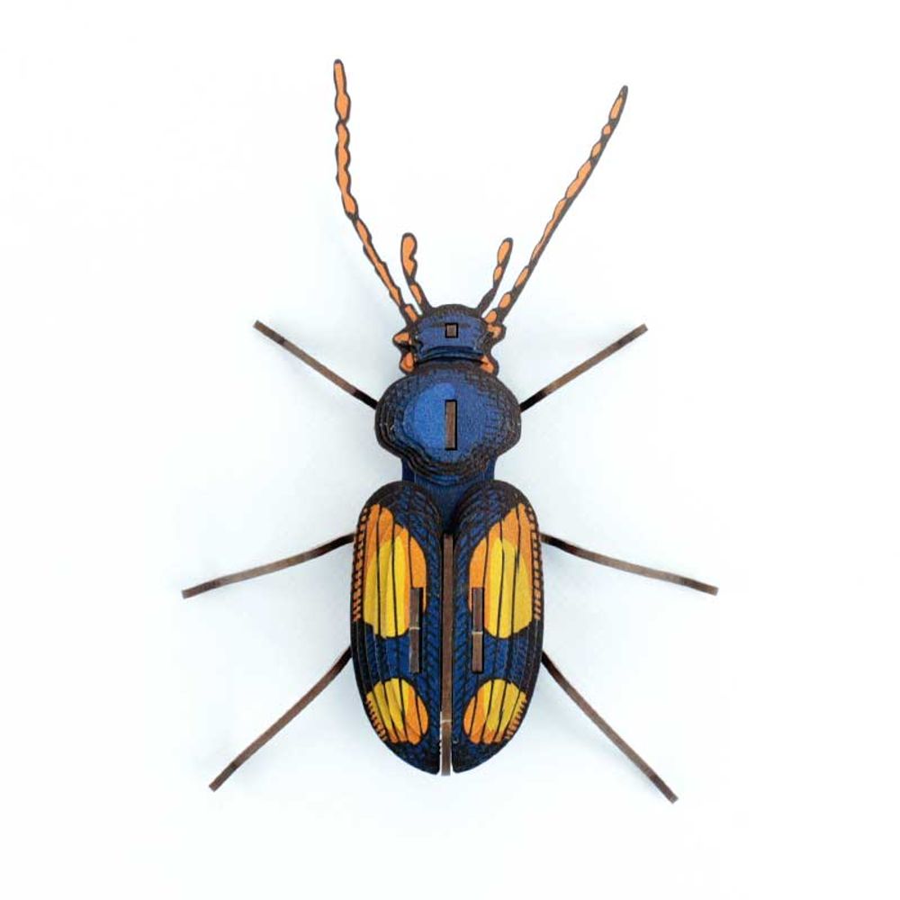 Objets de décoration - Objets de décoration - Insectes en carton - AGENT PAPER