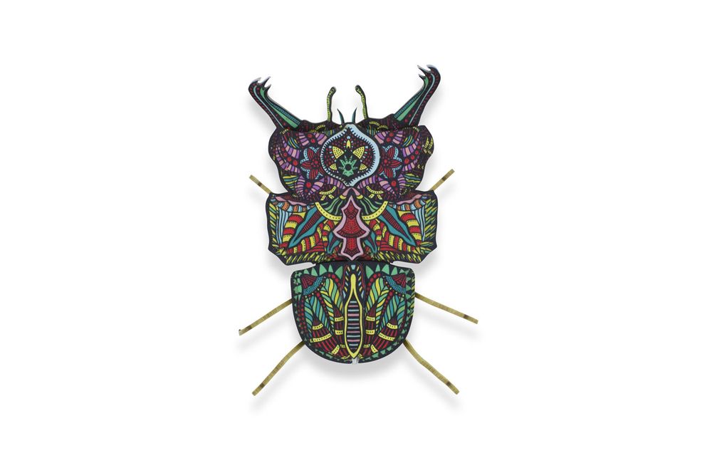 Objets de décoration - Objets de décoration - Insectes en carton - AGENT PAPER