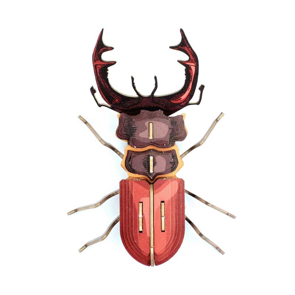 Objets de décoration - Objets de décoration - Insectes en carton - AGENT PAPER