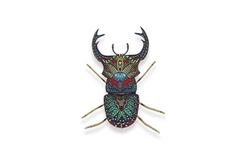 Objets de décoration - Objets de décoration - Insectes en carton - AGENT PAPER