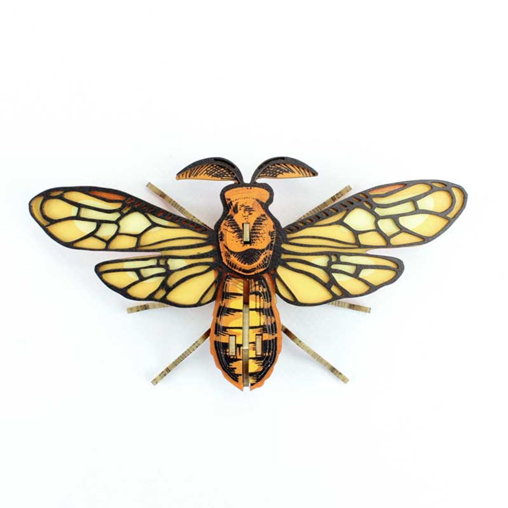 Objets de décoration - Objets de décoration - Insectes en carton - AGENT PAPER
