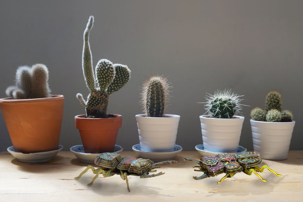 Objets de décoration - Objets de décoration - Insectes en carton - AGENT PAPER