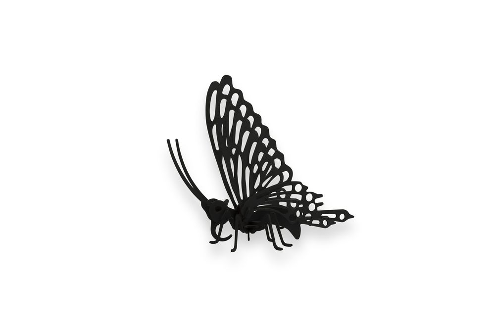 Objets de décoration - Objets de décoration - Insectes en carton noir - AGENT PAPER