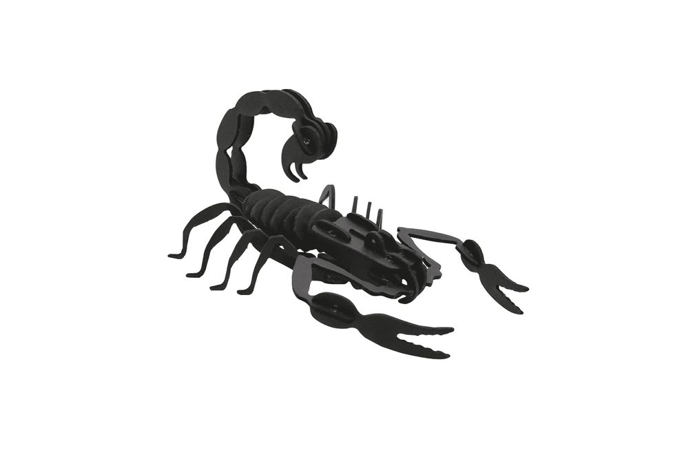 Objets de décoration - Objets de décoration - Insectes en carton noir - AGENT PAPER