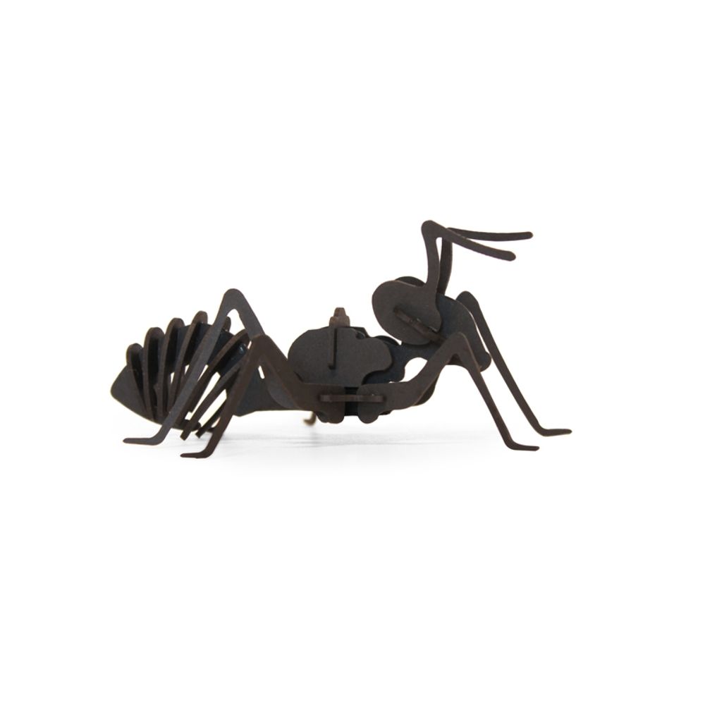 Objets de décoration - Objets de décoration - Insectes en carton noir - AGENT PAPER