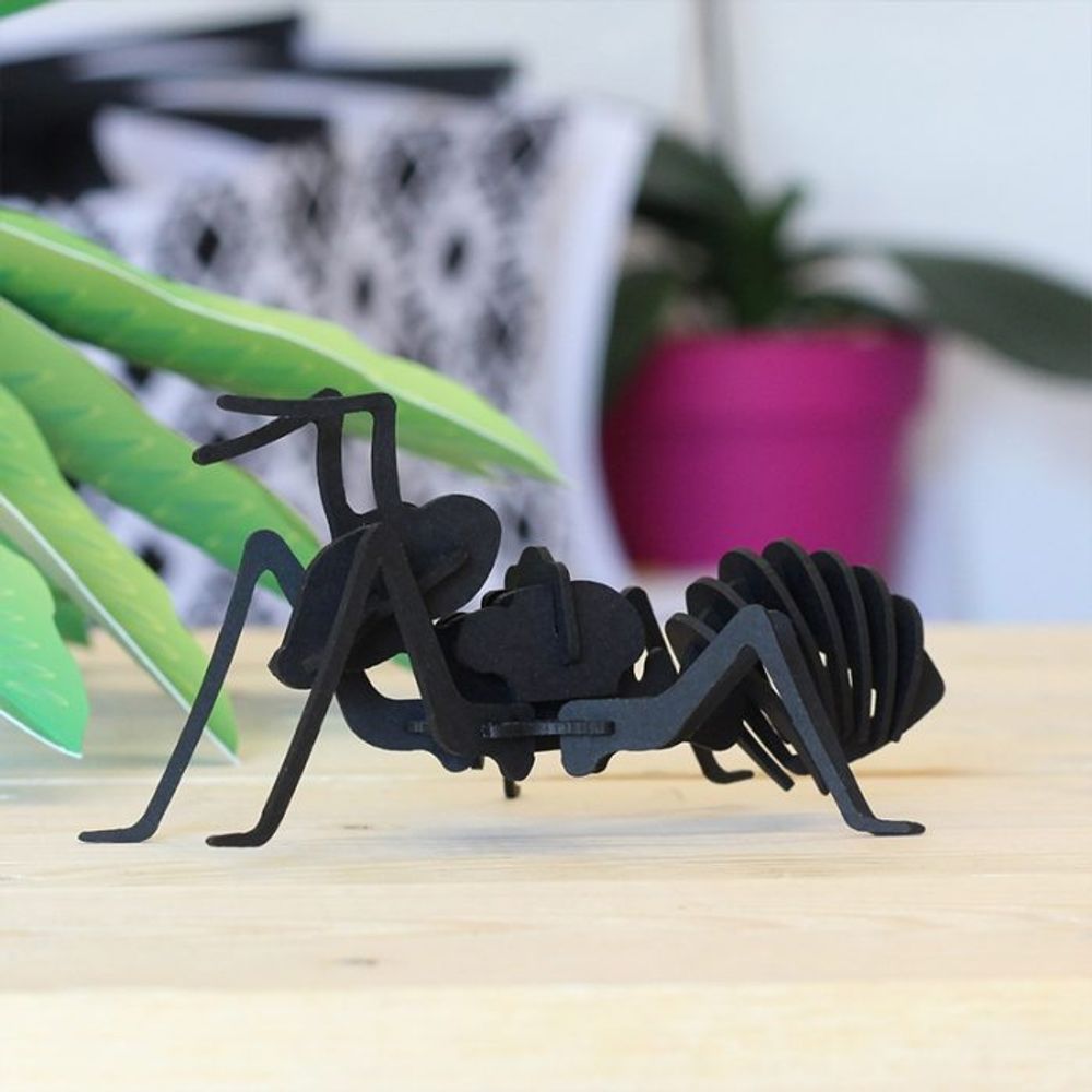 Objets de décoration - Objets de décoration - Insectes en carton noir - AGENT PAPER