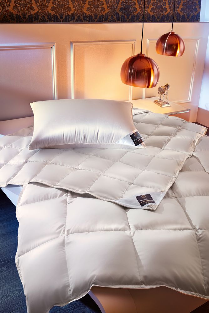 Comforters and pillows - ARCTIC - down comforter - BRINKHAUS