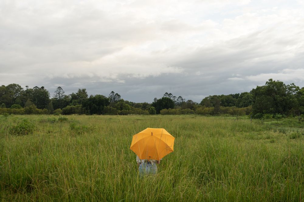Accessoires de voyage - PARAPLUIE RAIN UMBRELLA - BUSINESS & PLEASURE CO.