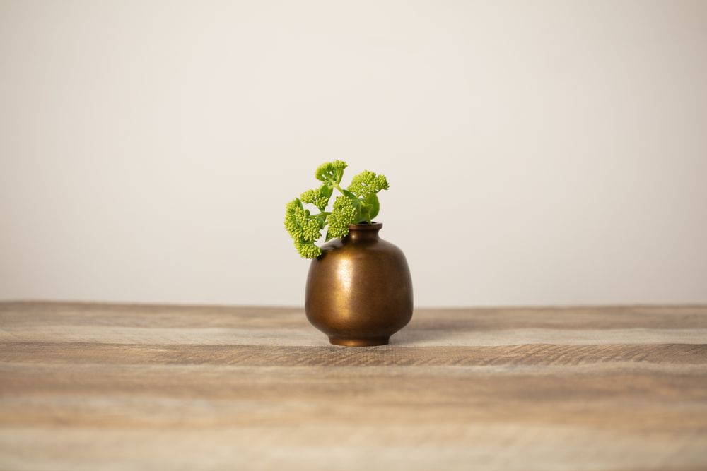 Vases - HANAMITSUBO brass flower vase - NOUSAKU