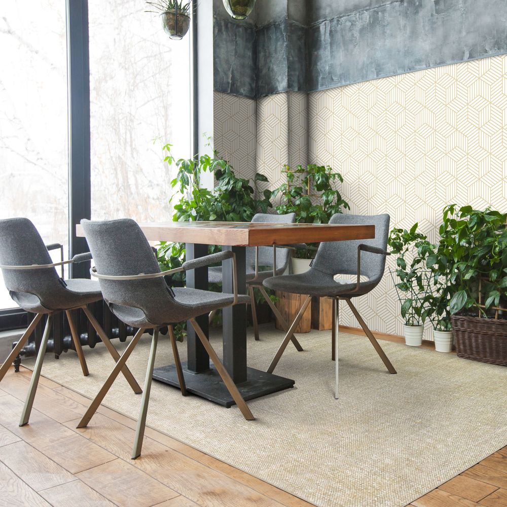 Rugs - DUNES RUG - Light beige carpet with washed effect 160x230 - ALECTO