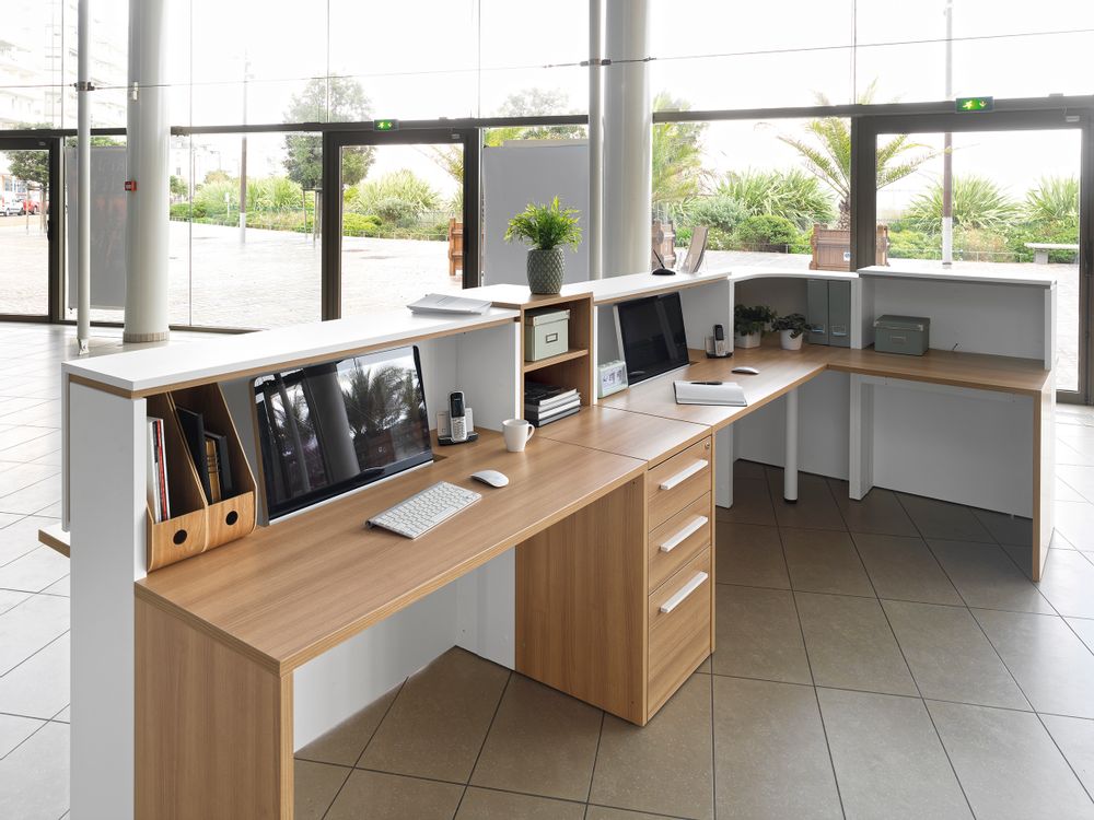 Office furniture and storage - Bank home ZOOM - GAUTIER OFFICE