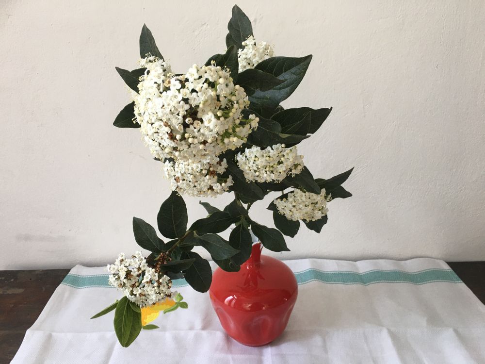 Décorations florales - Vase “Frutta e Fiori” - AMARETTI ANTONELLA