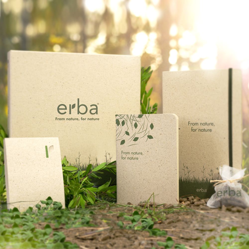 Gifts - ERBA - DINATALESTYLE
