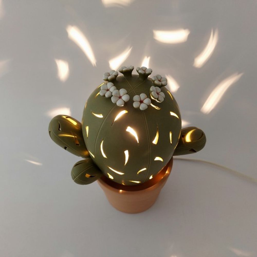Céramique - Lampe à cactus - PACHAMAMA DI E. OCCHI LABORATORIO ARTIGIANO DI CERAMICA