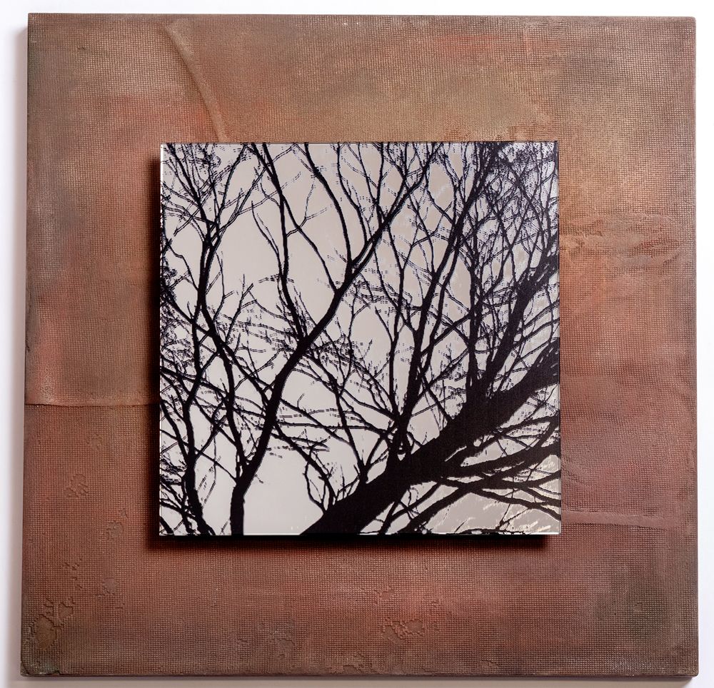 Miroirs - Photo sur miroir - Amico ALBERO - ALICE CORBETTA