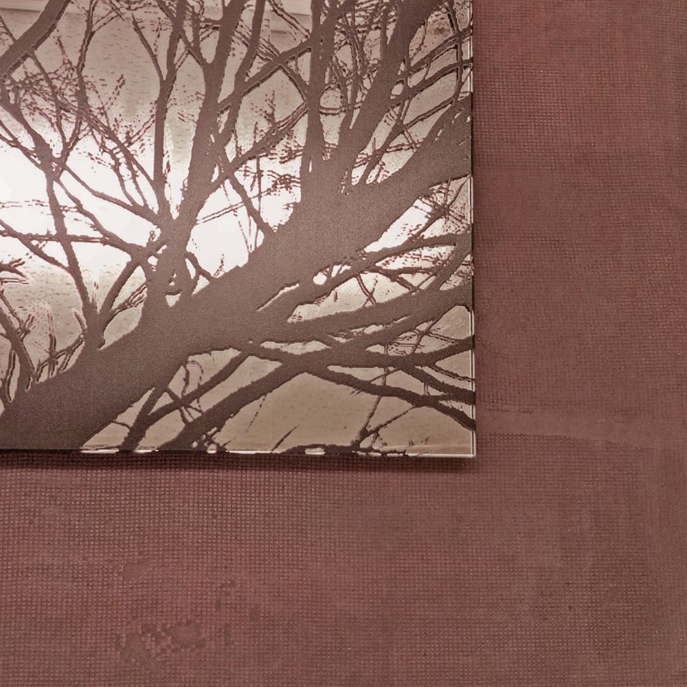Miroirs - Photo sur miroir - Amico ALBERO - ALICE CORBETTA