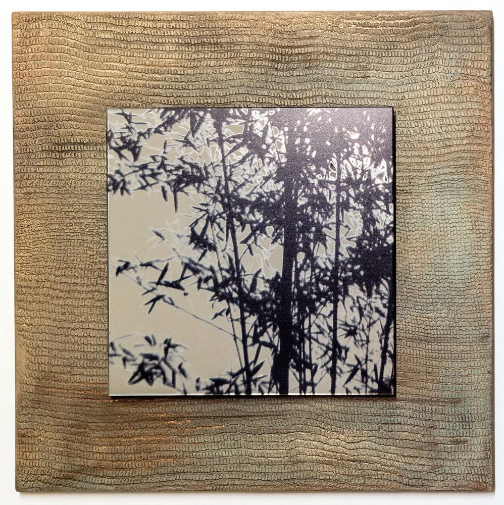 Autres décorations murales - Photo sur miroir - Bambù - ALICE CORBETTA