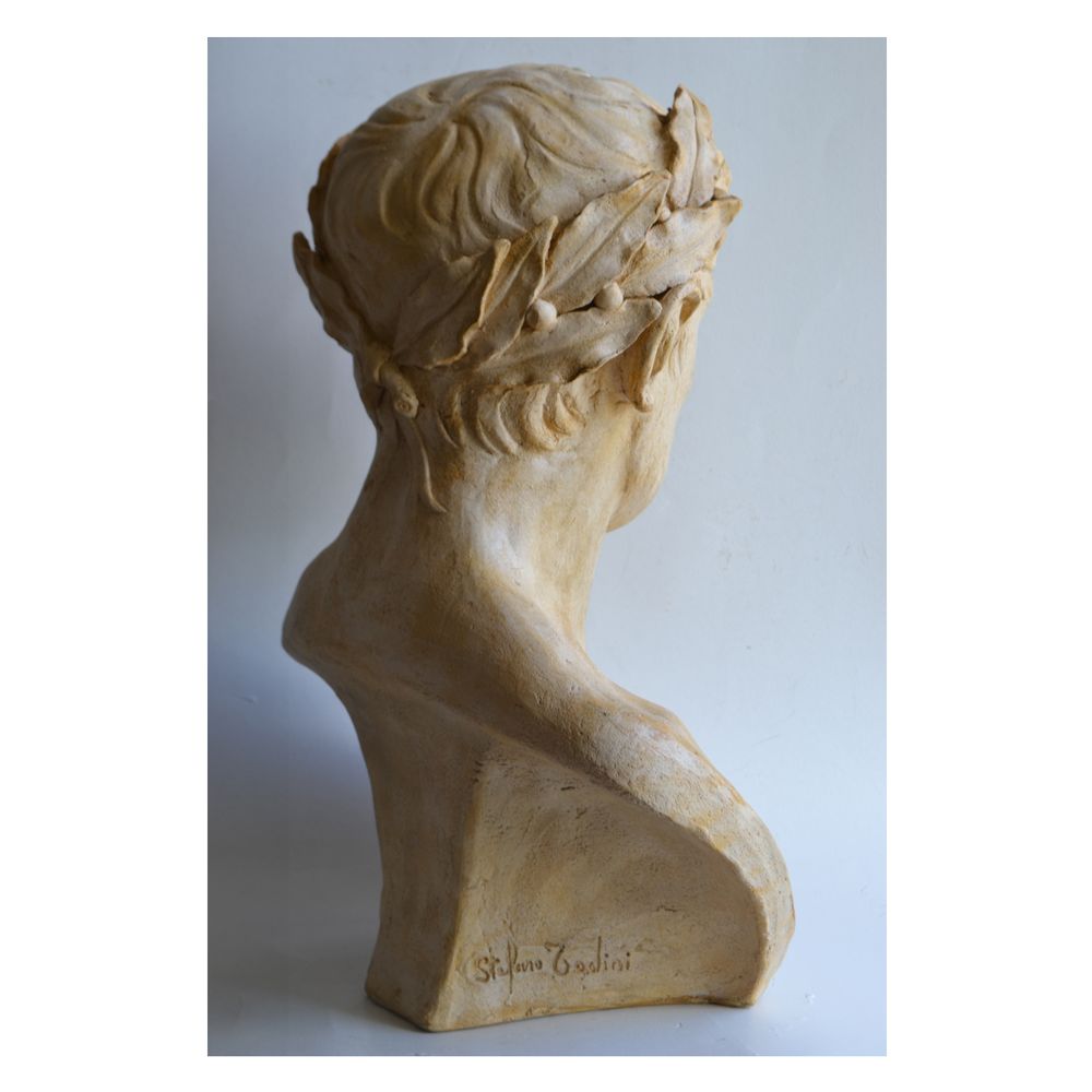 Sculptures, statuettes et miniatures - Buste de Napoléon Bonaparte - TODINI SCULTURE