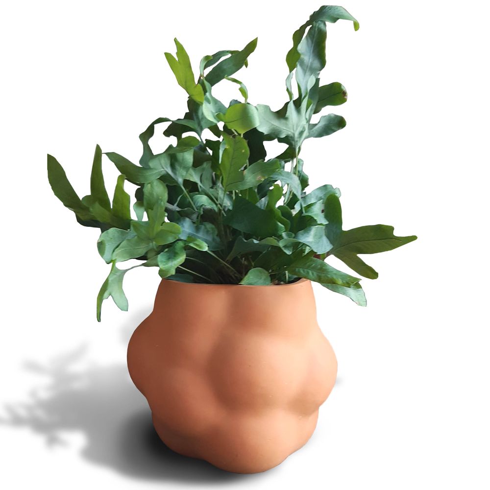 Céramique - POT. CACHE-POT, OBJET DECORATIF - MALIFANCE