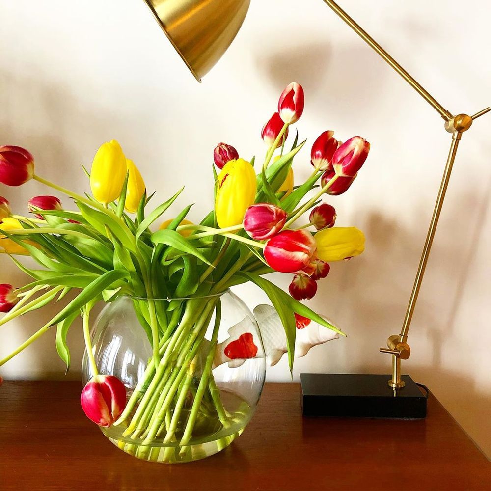 Vases - Vase Round NO LIMIT - VANESSA MITRANI