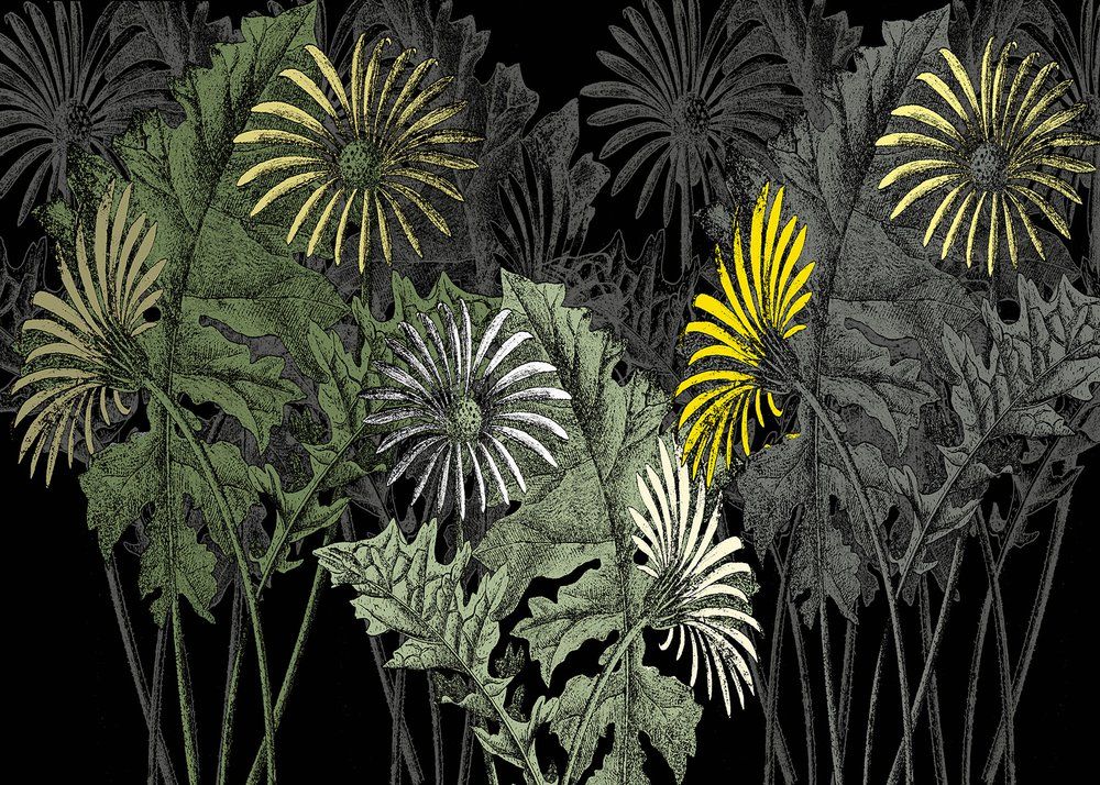 Papiers peints - Papier peint panoramique Fleurs Géantes - INCREATION