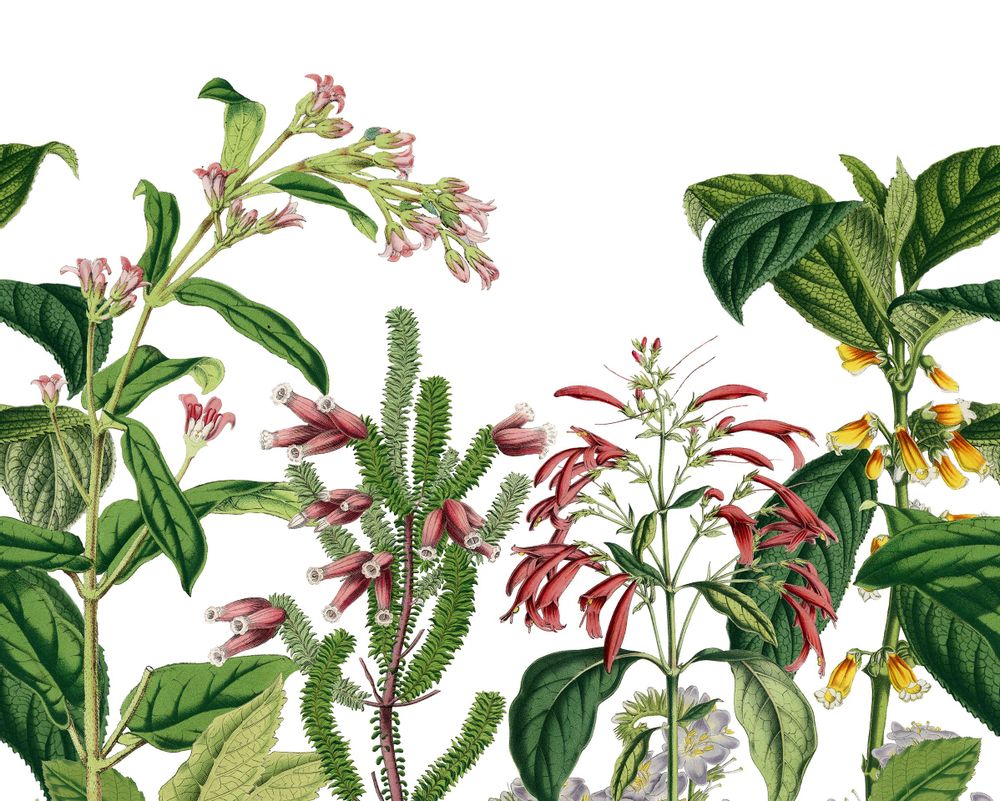 Other wall decoration - Wallpanel Victorian Garden Vert Feuille - PAPERMINT