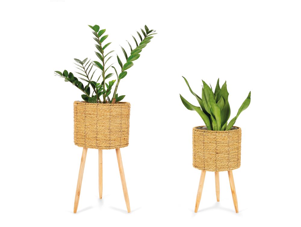 Flower pots - SET 2 CATTAIL GRASS PLANTERS Ø30X58 AX21542 - ANDREA HOUSE