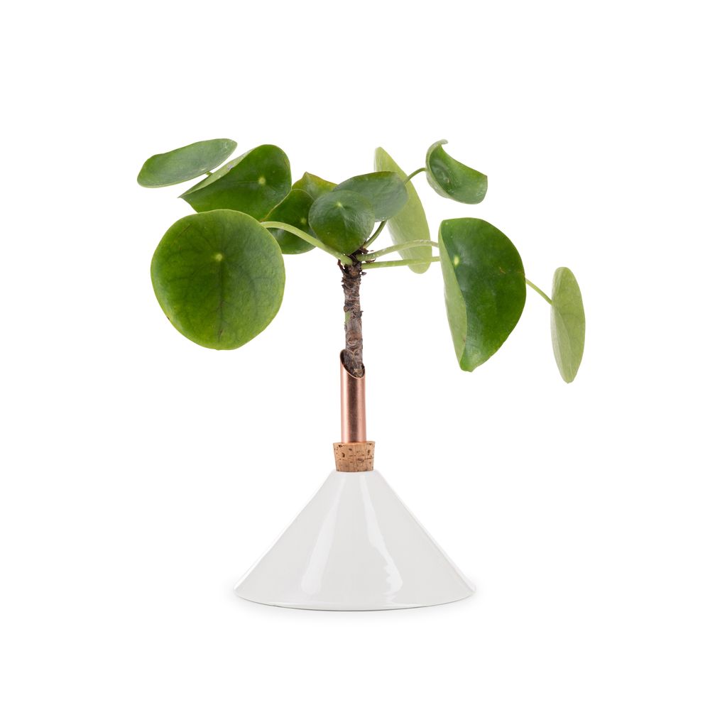 Design objects - Consilium Vase Snow White - SCANDINAVIA FORM