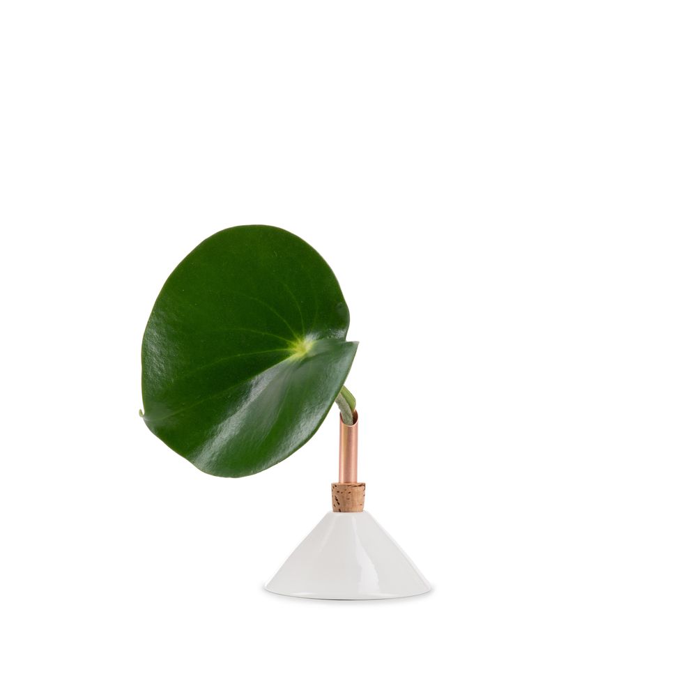 Design objects - Consilium Vase Snow White - SCANDINAVIA FORM