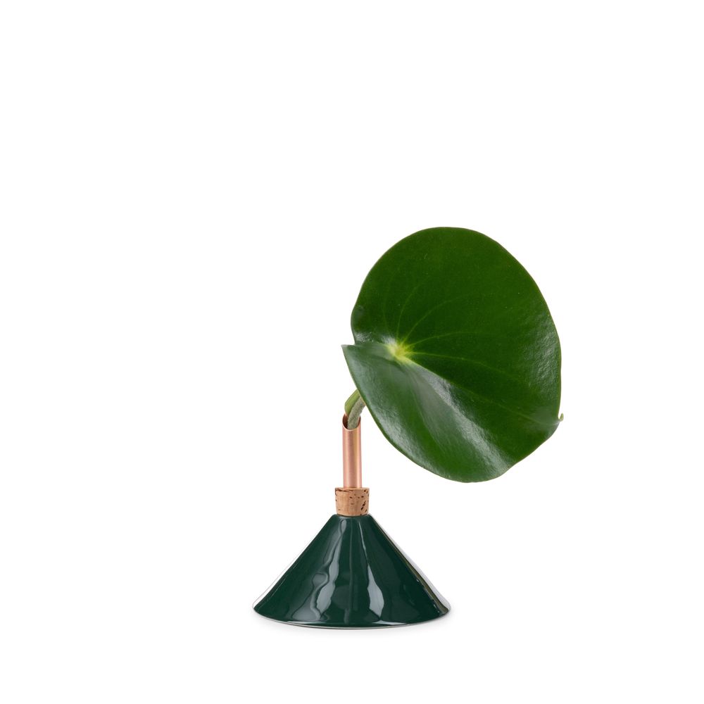 Objets design - Consilium Vase Forest Green - SCANDINAVIA FORM