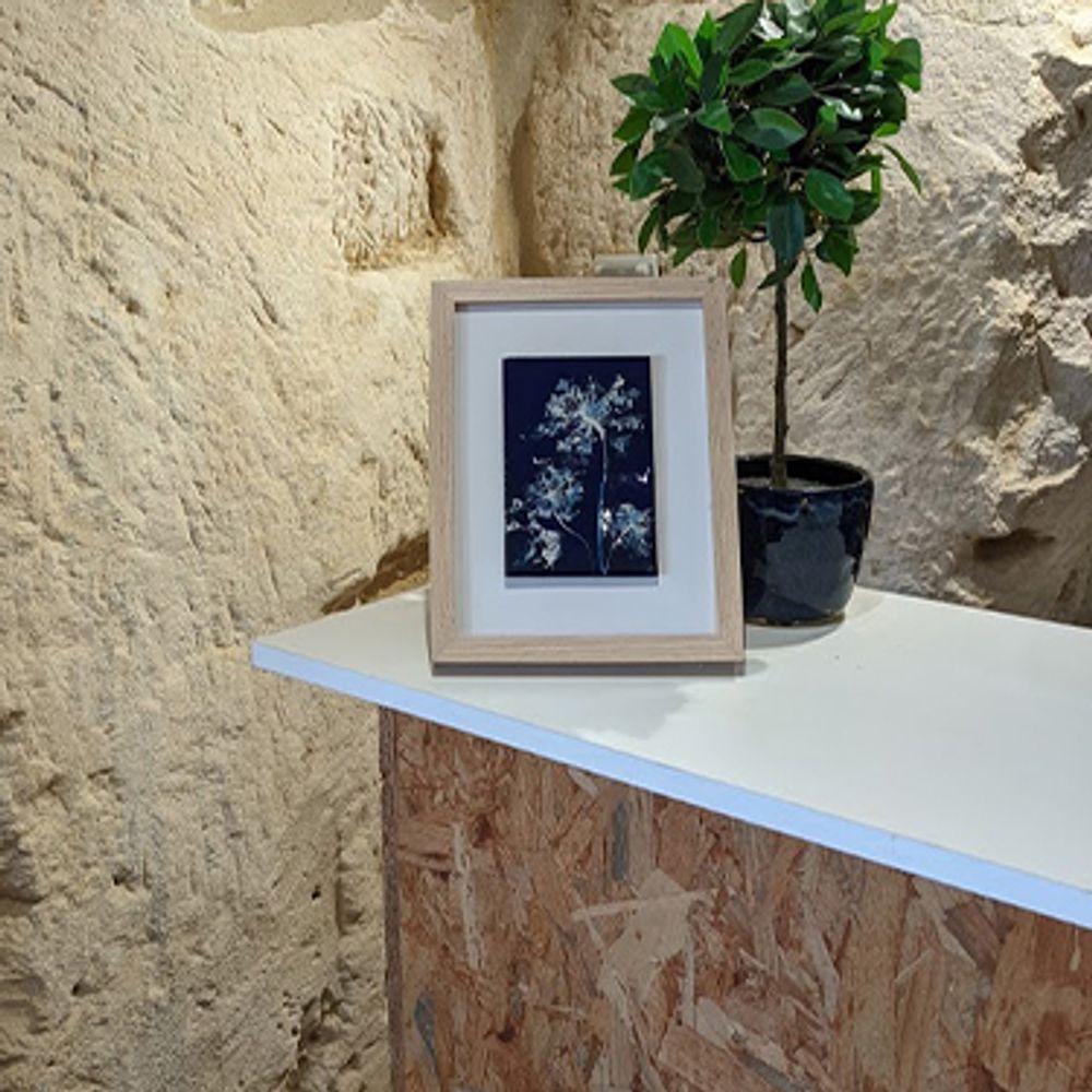 Tableaux - Tableau - VÉGÉTAL  bleu et blanc - ANNE DE LA FORGE - ÉMAILLEUR D'ART