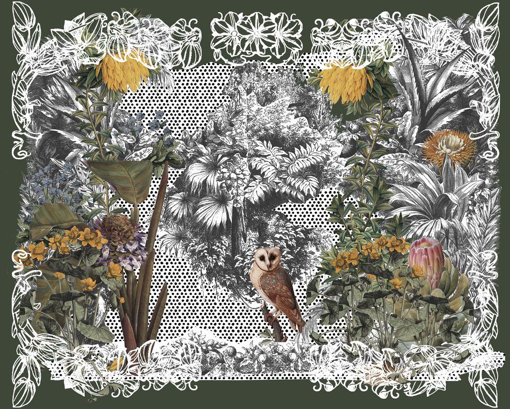 Wallpaper - Owl and Jungle Wallpaper - INCREATION