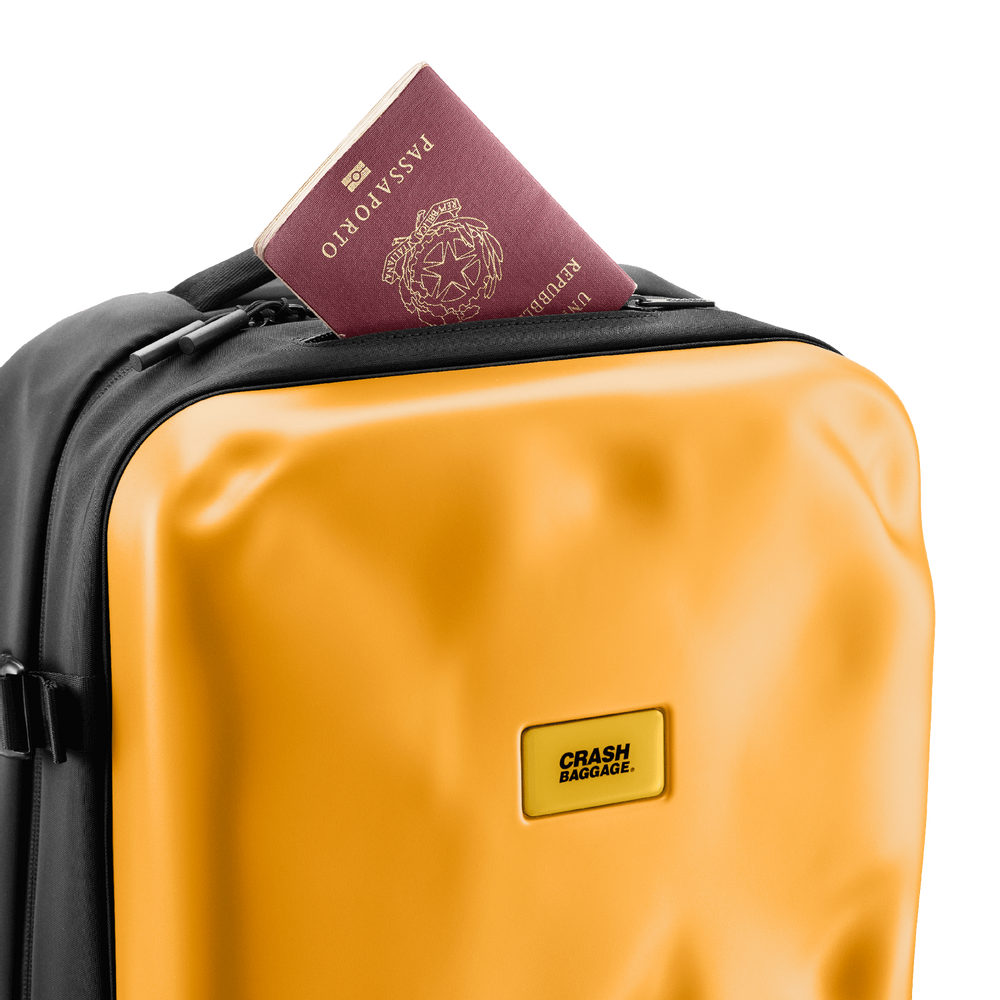 Bags and totes - ICONIC BAG - CRASH BAGGAGE