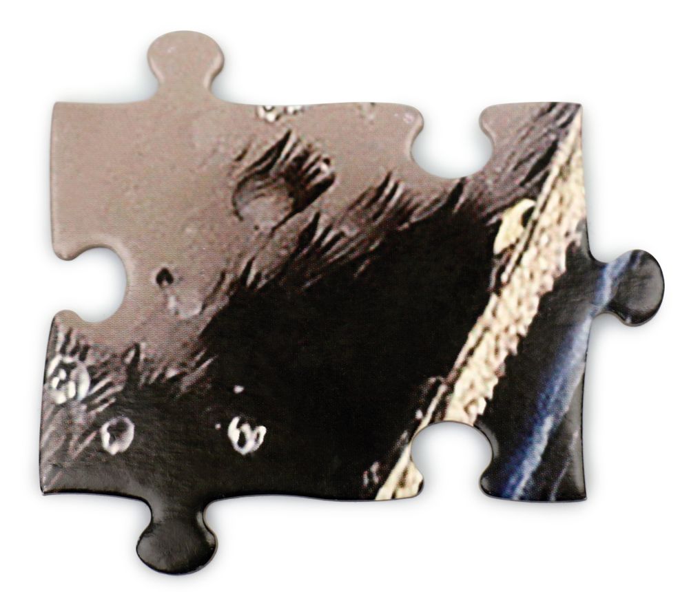 Loisirs créatifs pour enfant - I AM Lil' Puzzle Jr.: MANCHOT - MADD CAPP