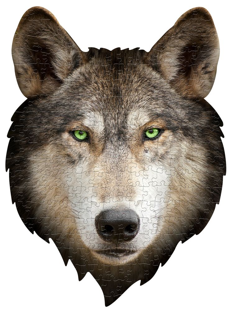 Children's arts and crafts - I AM 300 Puzzle: WOLF - MADD CAPP