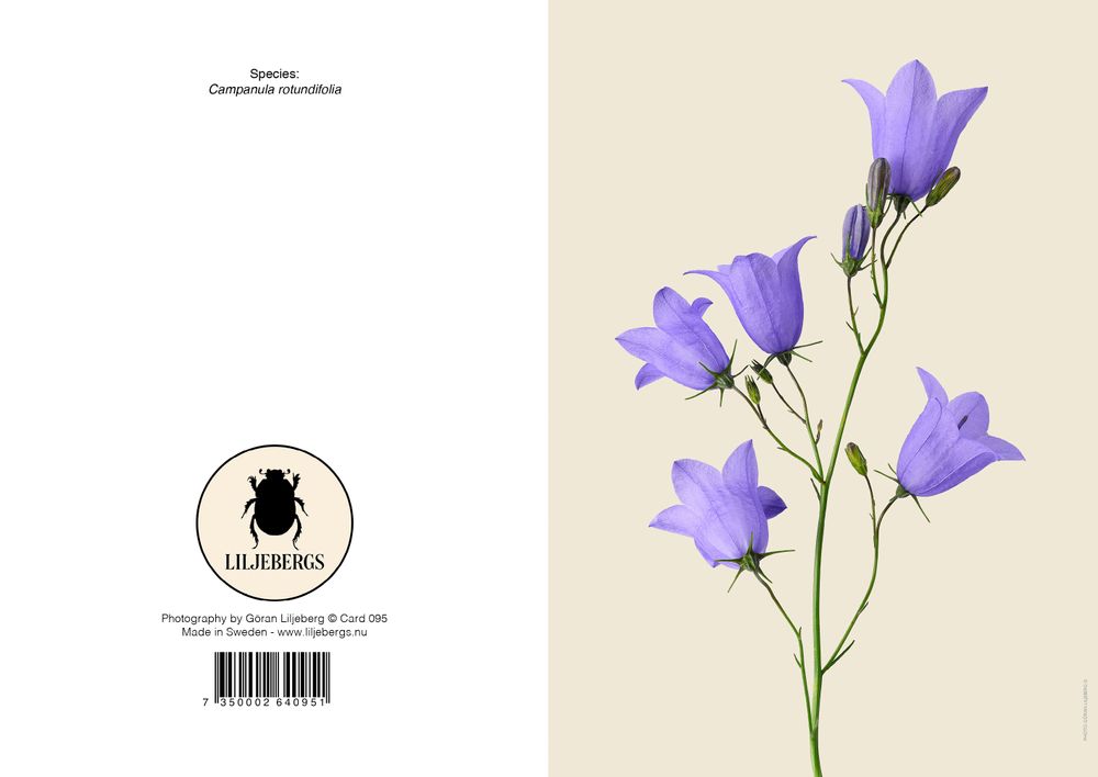 Carterie - Cartes de vœux - LILJEBERGS