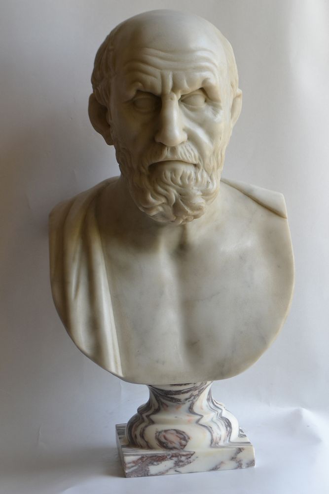 Sculptures, statuettes and miniatures - Bust of Hippocrates - TODINI SCULTURE