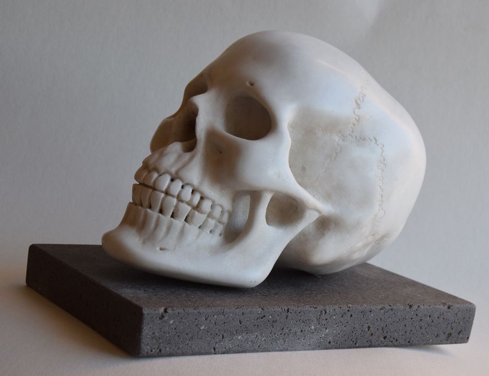 Sculptures, statuettes et miniatures - Crâne de marbre - TODINI SCULTURE