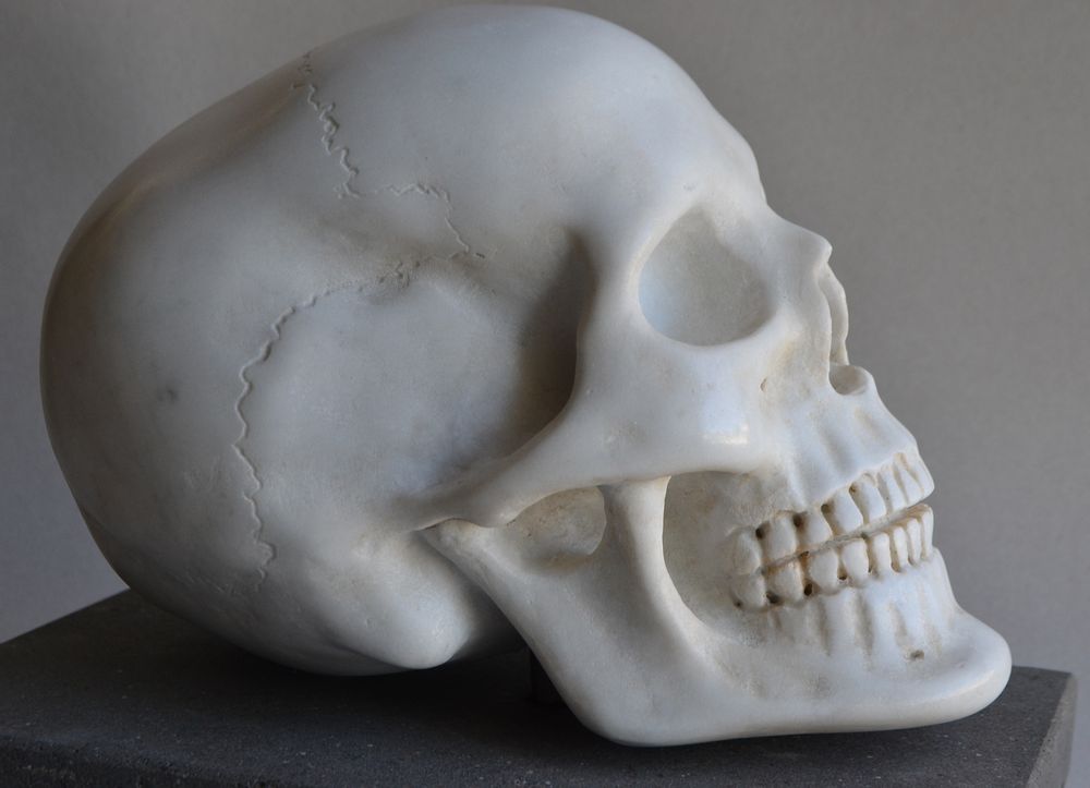 Sculptures, statuettes et miniatures - Crâne de marbre - TODINI SCULTURE