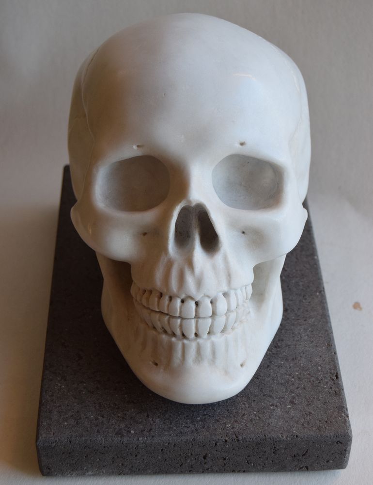 Sculptures, statuettes et miniatures - Crâne de marbre - TODINI SCULTURE
