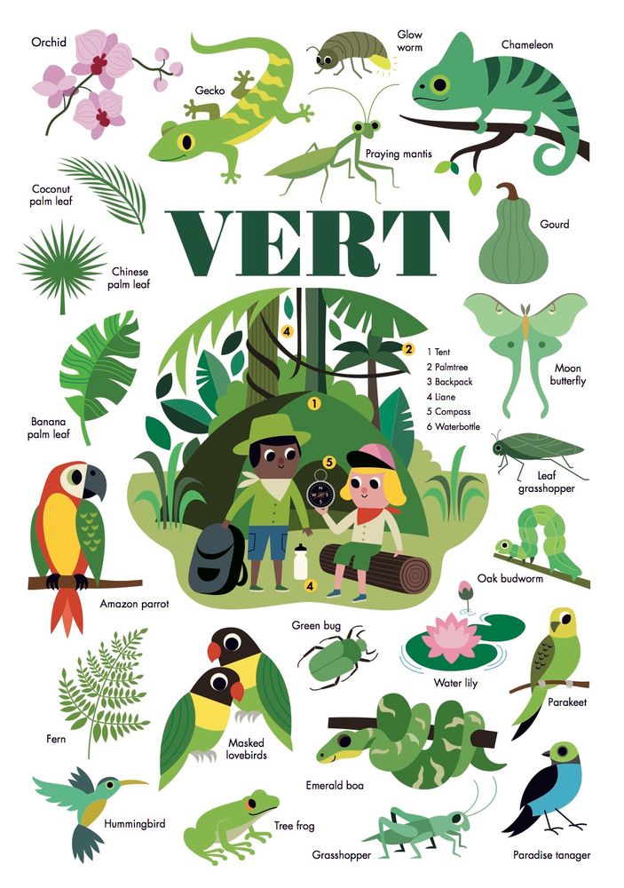 Children's arts and crafts - Jungle Mini Poster - 22 Stickers  - POPPIK - BAYARD JEUNESSE