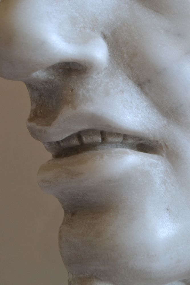 Sculptures, statuettes and miniatures - Marble "Medusa" Head - TODINI SCULTURE