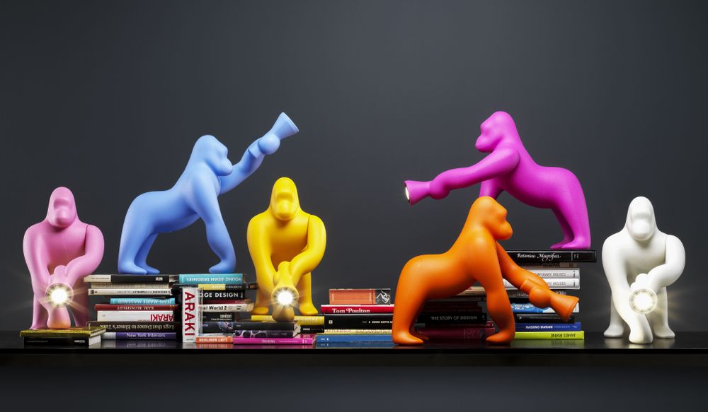 Design objects - KONG - QEEBOO