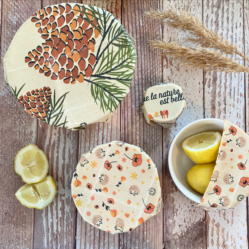 Boîtes de conservation - Le Vegan Wrap - Emballage alimentaire zéro-déchet vegan - ANOTHERWAY