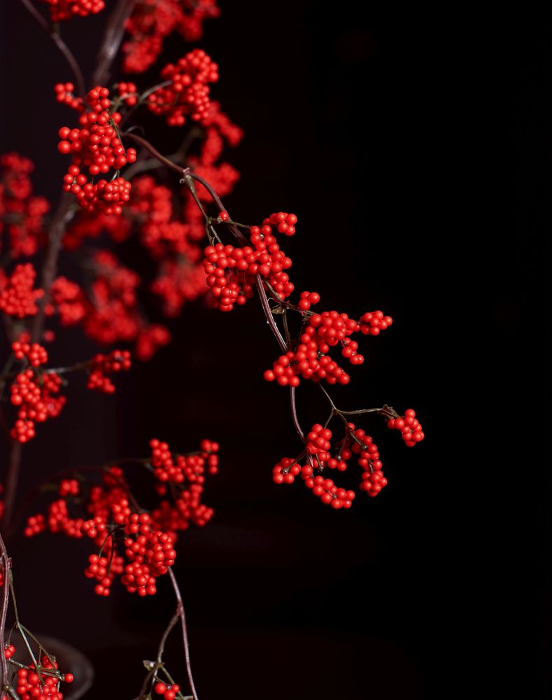 Décorations florales - AW21 Red berries - Silk-ka Artificial flowers and plants for life! - SILK-KA